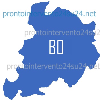 Pronto Intervento in tutte le zone di Bologna